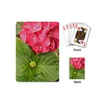 Pink Geranium - Ruth E Anderson -  Playing Cards (Mini)