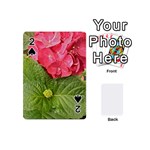 Pink Geranium - Ruth E Anderson -  Playing Cards 54 (Mini)