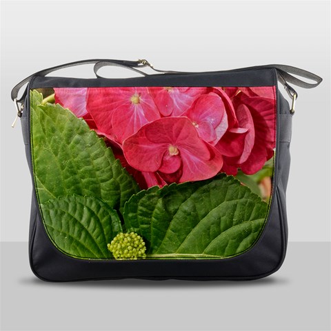 Pink Geranium Front