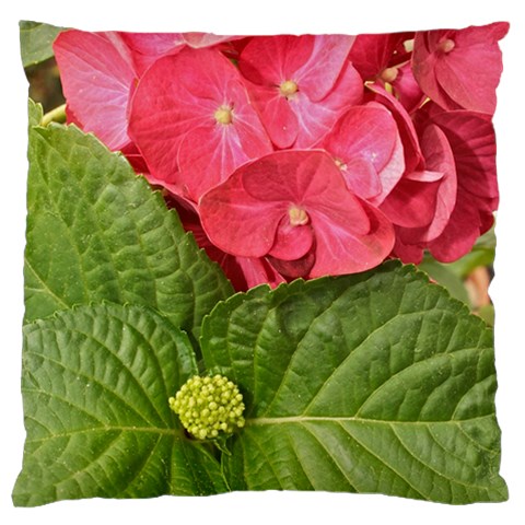 Pink Geranium Front
