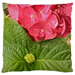 Pink Geranium - Ruth E Anderson -  Large Cushion Case (Two Sides)