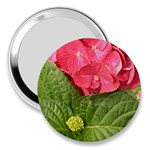 Pink Geranium - Ruth E Anderson -  3  Handbag Mirror