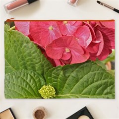 Pink Geranium Front