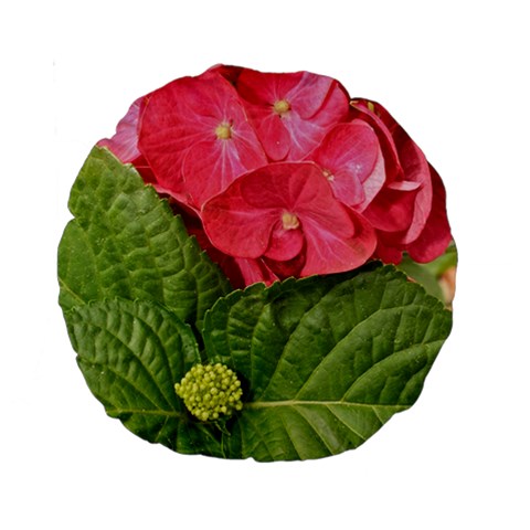 Pink Geranium Front