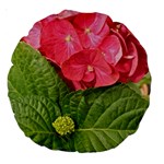 Pink Geranium - Ruth E Anderson -  18  Premium Round Cushion 
