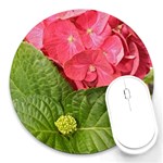 Pink Geranium - Ruth E Anderson -  Round Mousepad