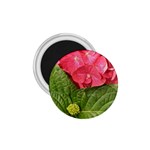 Pink Geranium - Ruth E Anderson -  1.75  Magnet