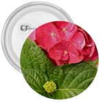 Pink Geranium - Ruth E Anderson -  3  Button