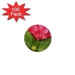 Pink Geranium - Ruth E Anderson -  1  Mini Button (100 pack) 