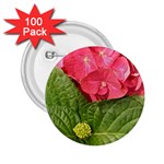 Pink Geranium - Ruth E Anderson -  2.25  Button (100 pack)