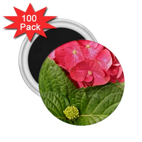 Pink Geranium Front