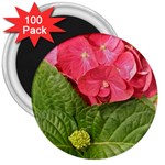 Pink Geranium - Ruth E Anderson -  3  Magnet (100 pack)