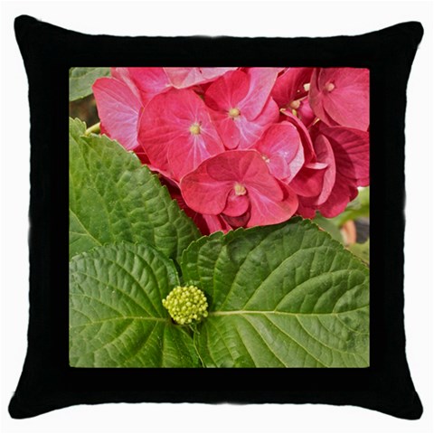 Pink Geranium Front