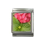 Pink Geranium - Ruth E Anderson -  Italian Charm (13mm)