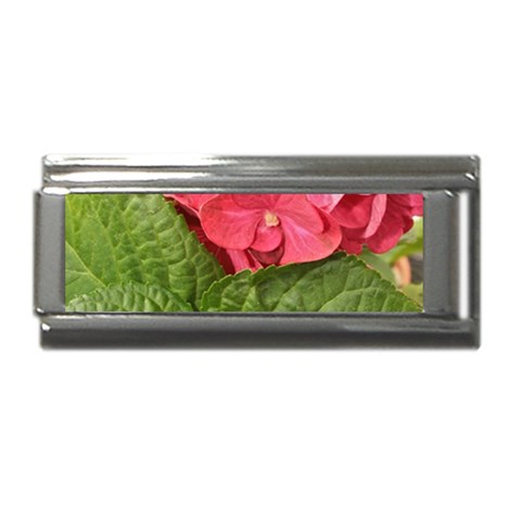 Pink Geranium Front