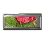 Pink Geranium - Ruth E Anderson -  Superlink Italian Charm (9mm)