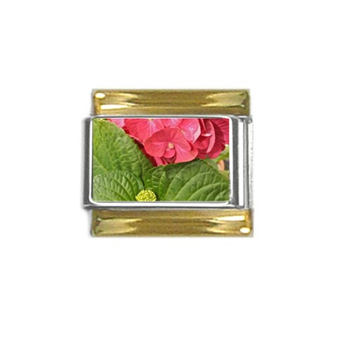 Pink Geranium Front