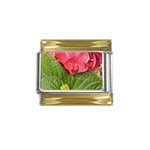 Pink Geranium - Ruth E Anderson -  Gold Trim Italian Charm (9mm)