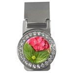 Pink Geranium - Ruth E Anderson -  Money Clip (CZ)