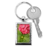 Pink Geranium - Ruth E Anderson -  Key Chain (Rectangle)