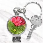 Pink Geranium - Ruth E Anderson -  Nail Clippers Key Chain