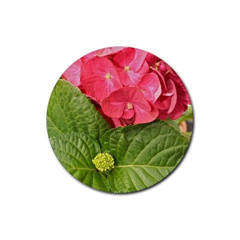 Pink Geranium Front