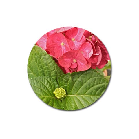 Pink Geranium Front