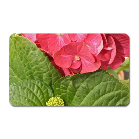 Pink Geranium Front