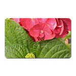 Pink Geranium - Ruth E Anderson -  Magnet (Rectangular)
