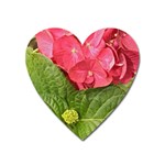 Pink Geranium - Ruth E Anderson -  Magnet (Heart)