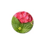 Pink Geranium - Ruth E Anderson -  Golf Ball Marker (4 pack)