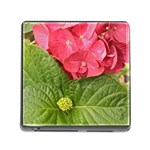 Pink Geranium - Ruth E Anderson -  Memory Card Reader with Storage (Square)