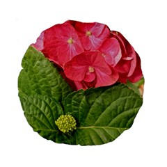 Pink Geranium Back