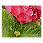 Pink Geranium - Ruth E Anderson -  8  x 10  Desktop Photo Plaque