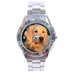 Use Your Dog Photo Golden Retriever Stainless Steel Analogue Men’s Watch