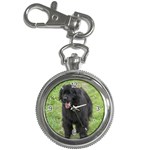 Use Your Dog Photo Newfoundland Key Chain Watch