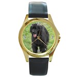 Use Your Dog Photo Newfoundland Round Gold Metal Watch