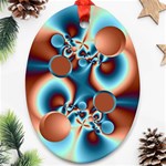 fractal14coaster Ornament (Oval)