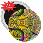 FF261 3  Magnet (10 pack)