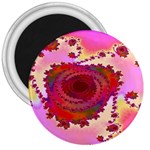 FF262 3  Magnet