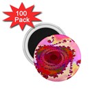 FF262 1.75  Magnet (100 pack) 