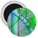 FF243 3  Magnet