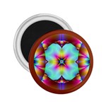 FF251 2.25  Magnet
