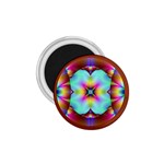 FF251 1.75  Magnet