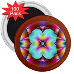 FF251 3  Magnet (100 pack)
