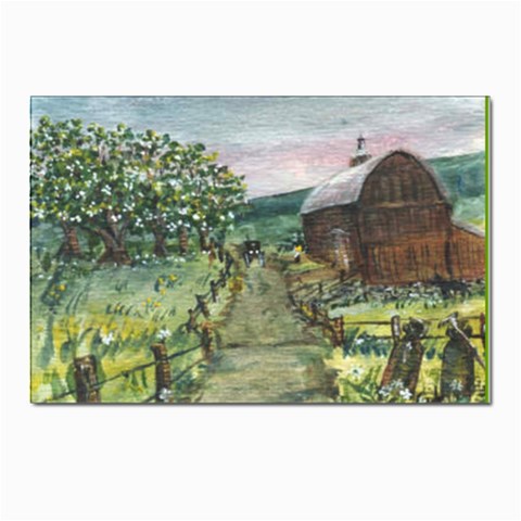 Amish Apple Blossoms Front