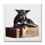AM - Cheeky pony Tile Coaster