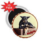 AM - Cheeky pony 2.25  Magnet (10 pack)