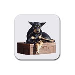 AM - Cheeky pony Rubber Coaster (Square)