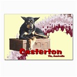 AM - Cheeky pony Postcard 4 x 6  (Pkg of 10)